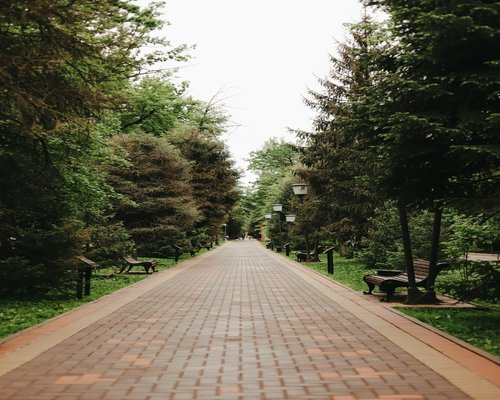 A green pedestrian walking avenue lined with wooden benches inside a Polish community park