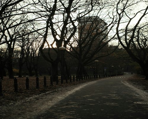 A quiet morning path inside a foggy public park in Warsaw with leaves on the ground